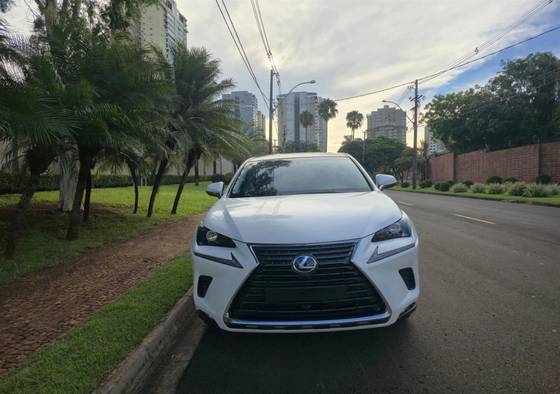 LEXUS NX 300 2.0 16V VVT-i TURBO GASOLINA DYNAMIC 6A/T AWD